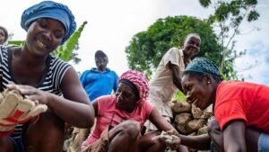 Femmes et Égalité : Un Combat Toujours d'Actualité