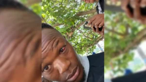 Williamson Saint Fleur