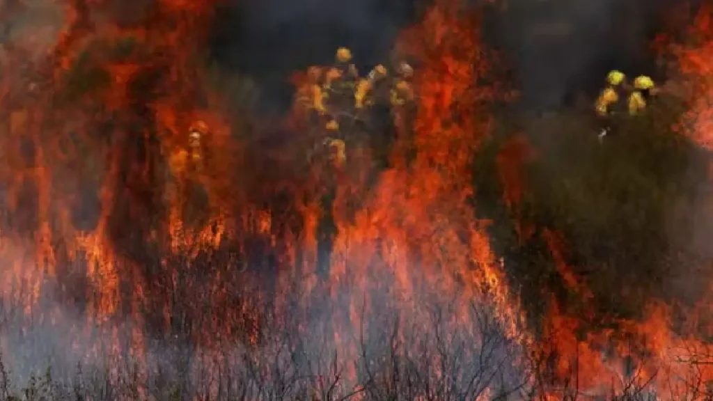 Des pompiers travaillent à éteindre un feu de forêt en périphérie d’Abejera de Tabara, Zamora, Espagne, le 13 août 2025. SUSANA VERA / REUTERS