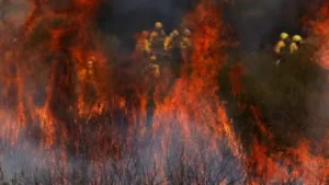 Des pompiers travaillent à éteindre un feu de forêt en périphérie d’Abejera de Tabara, Zamora, Espagne, le 13 août 2025. SUSANA VERA / REUTERS