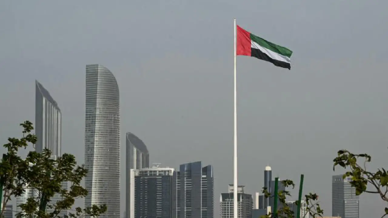 Pétrole : les Emirats arabes unis annoncent leur retrait surprise de l'Opep [Giuseppe CACACE / AFP]