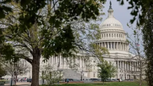 Renvoyer des personnes en Haïti reviendrait à une condamnation à mort, dans un pays ravagé par les catastrophes naturelles et la violence des organisations criminelles, selon une élue démocrate. Photo : Getty Images / Heather Diehl